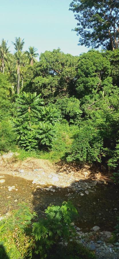 Riverside At Aninuan Accommodation And Food Puerto Galera Exterior foto